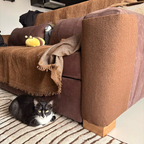 Self-Adhesive Cat Furniture Protector