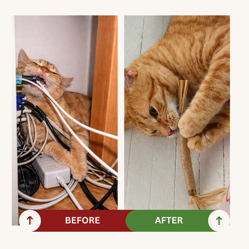 100% Natural Silverine Dental Sticks