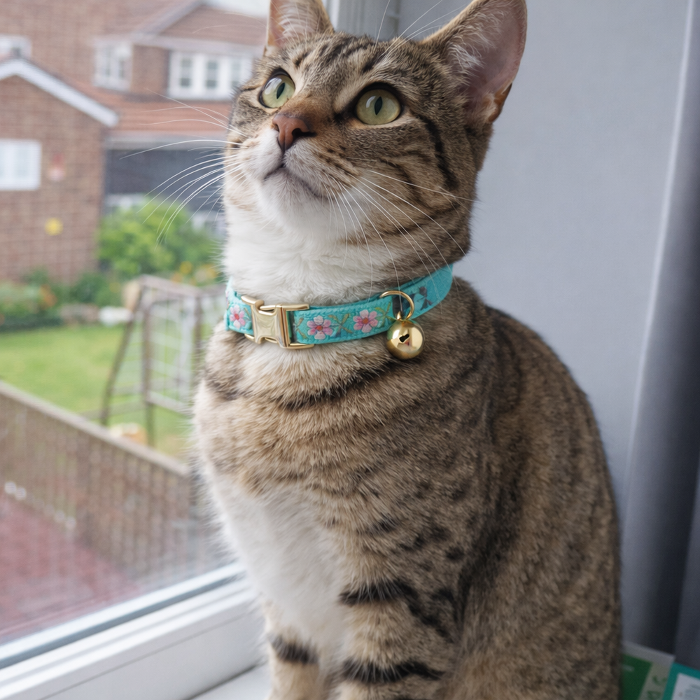 Cat wearing a floral collar with a bell, sitting by a window.