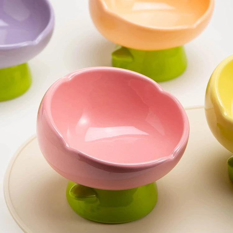 Colorful Cat Bowl