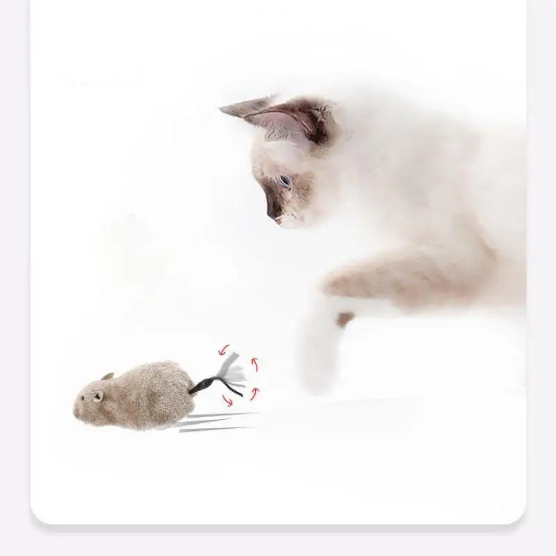 Running Rat Play Cat Toy
