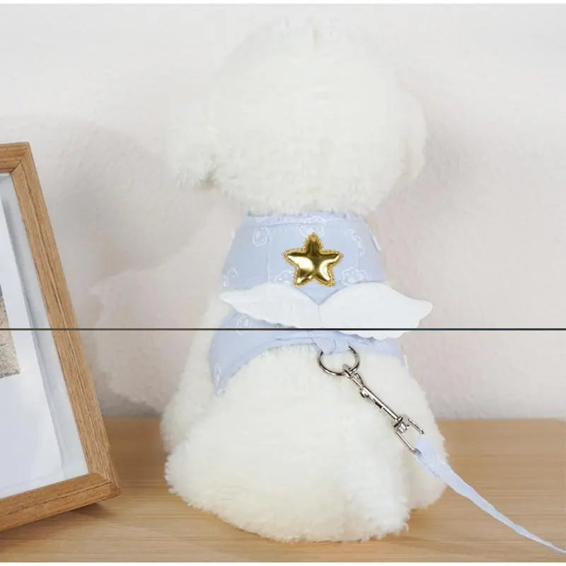 Angel Baby Leash & Harness (Blue)