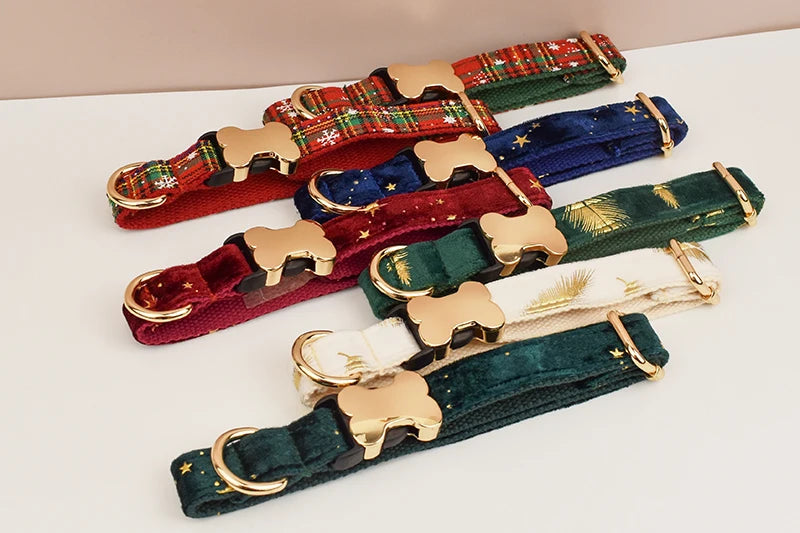 Set of colorful dog collars with gold bone-shaped clasps on a white surface.
