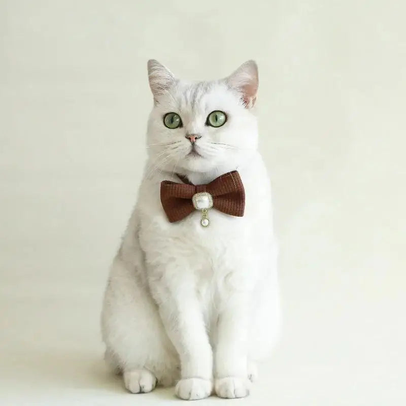 Vintage Faux Pearl Cat Collar