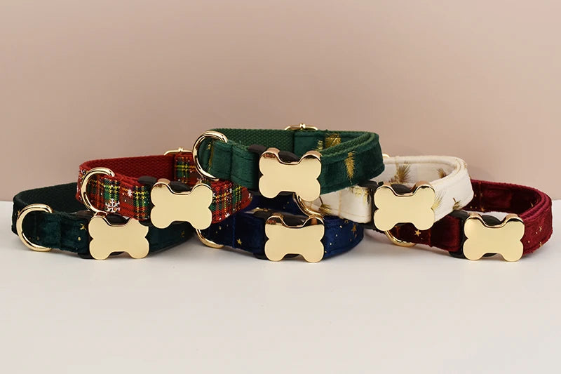 Collection of dog collars with bone-shaped brass tags on a beige background