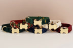 Collection of dog collars with bone-shaped brass tags on a beige background