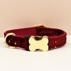 Customizable Dog Collar - Free Engraving