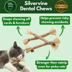 100% Natural Silverine Dental Sticks