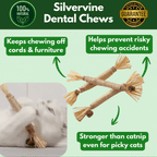 100% Natural Silverine Dental Sticks